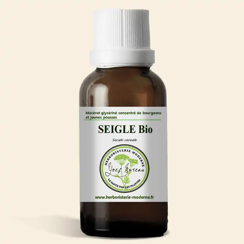 Macrt glycrin concentr de bourgeons Seigle BIO (Radicelles) -  Herboristerie Moderne  Herboristerie Moderne
