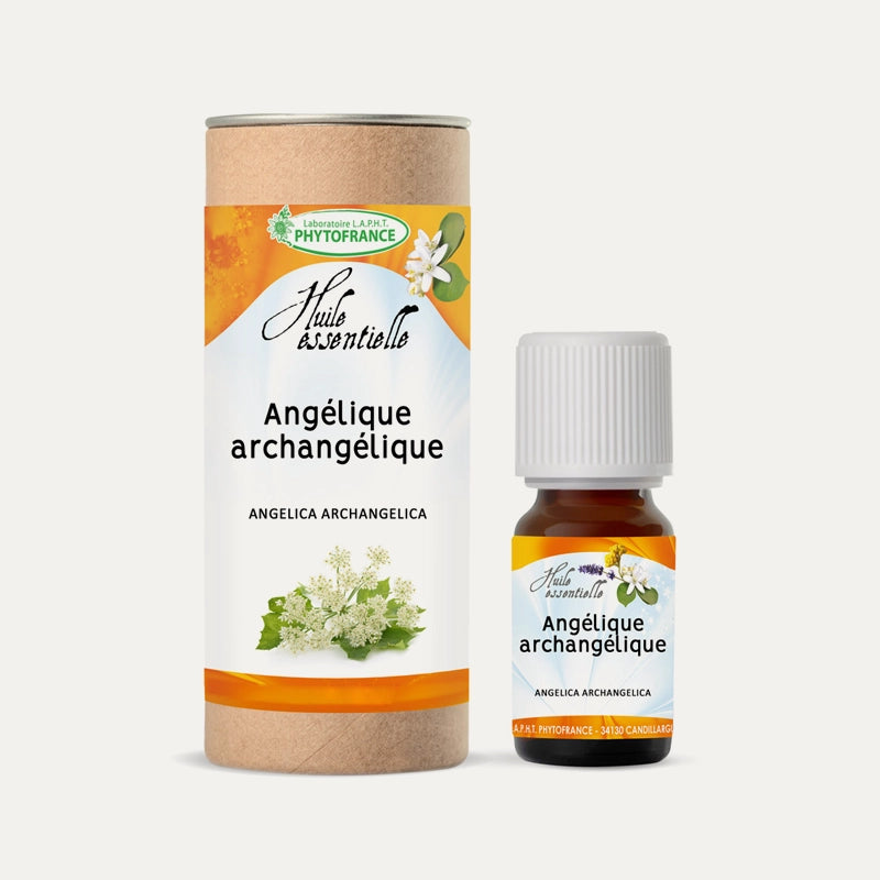 Huile Essentielle D'Angélique (Angelica Archangelica) - Pure Et Naturelle - Sans Marque