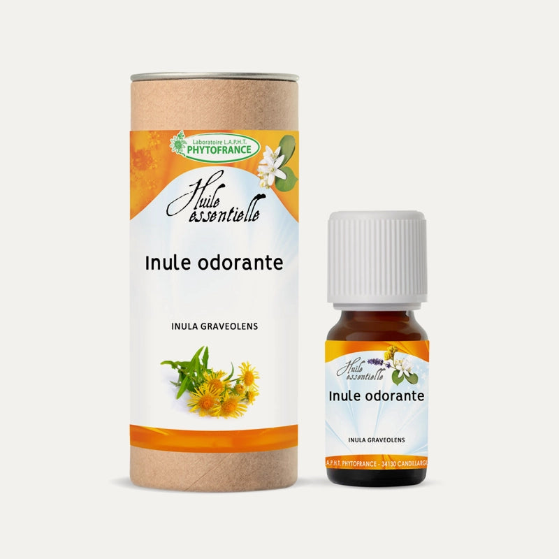 Huile Essentielle D'Inule Odorante (Inula Graveolens) Bio - Flacon 1 Ml Oshadhi