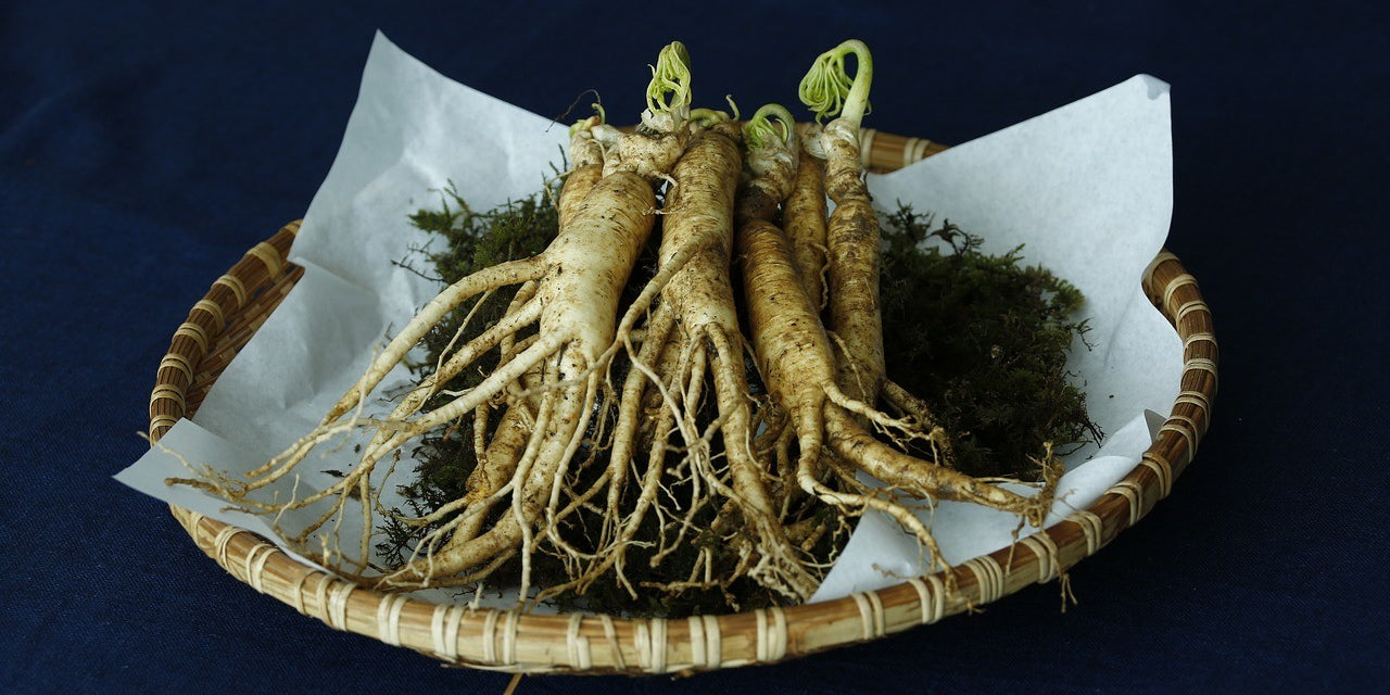 Ginseng