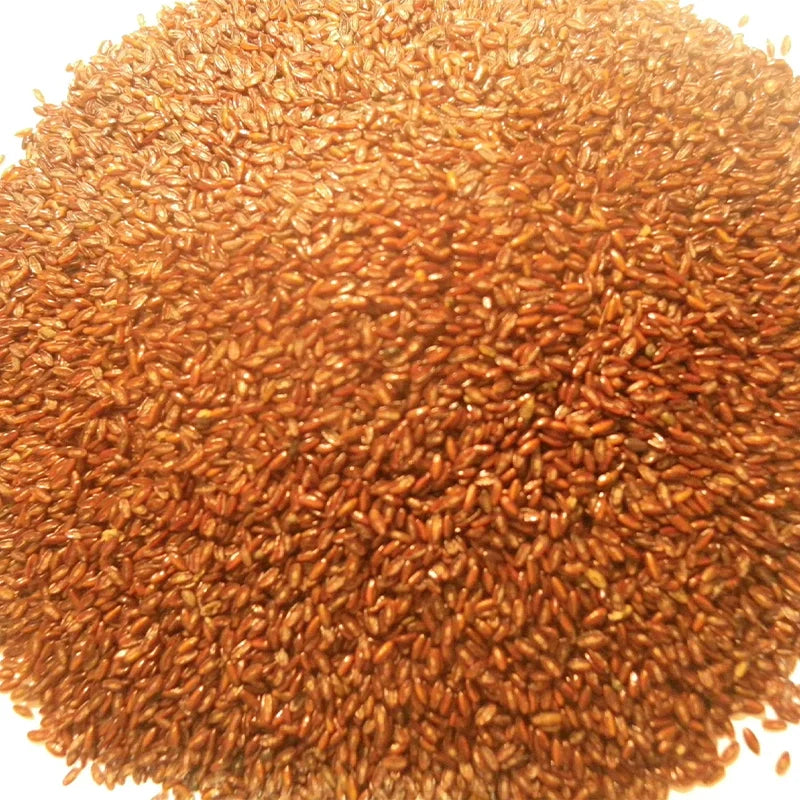 Psyllium