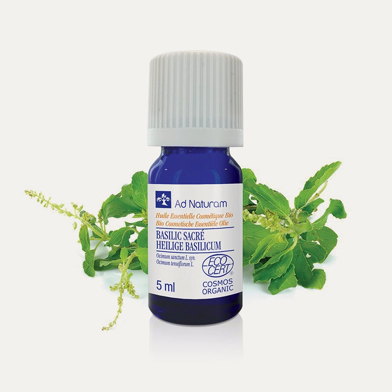 Huile essentielle Basilic sacré Ad Naturam