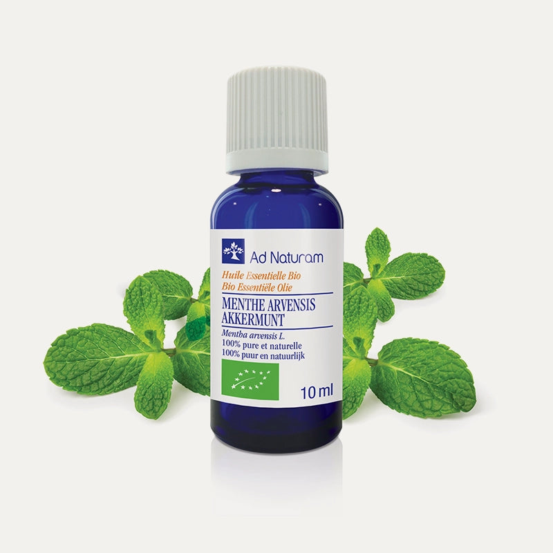 Ad naturam huile essentielle menthe des champs arvensis