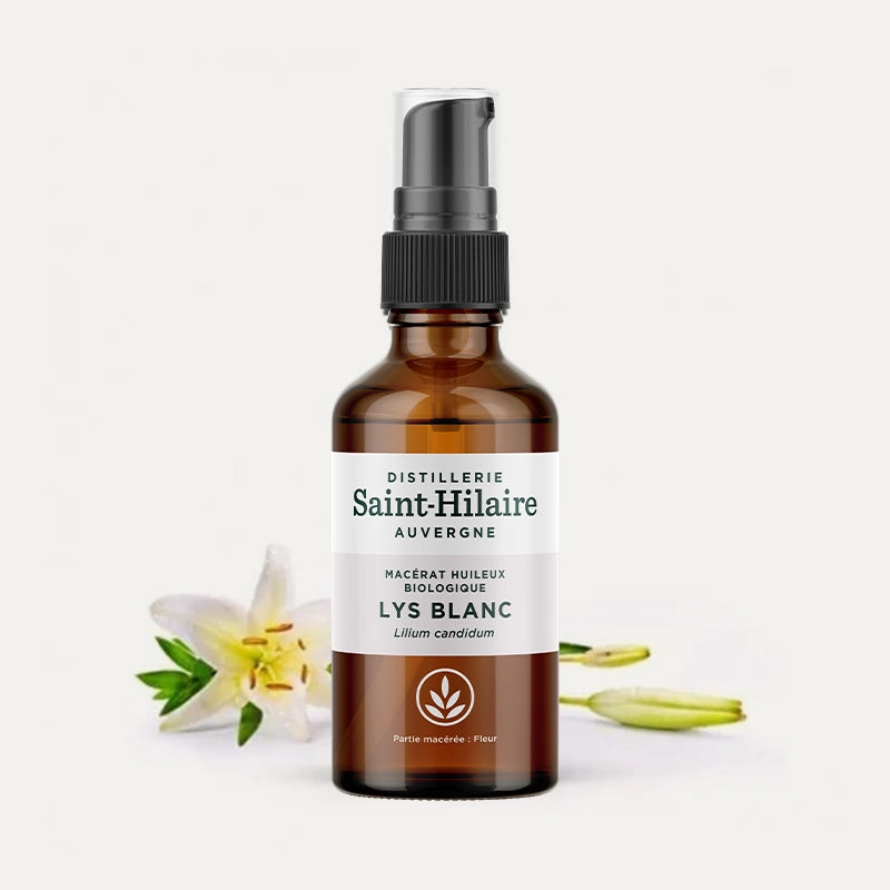 Distillerie-Saint-Hilaire-huile-vegetale-lys-blanc-bio-1.webp