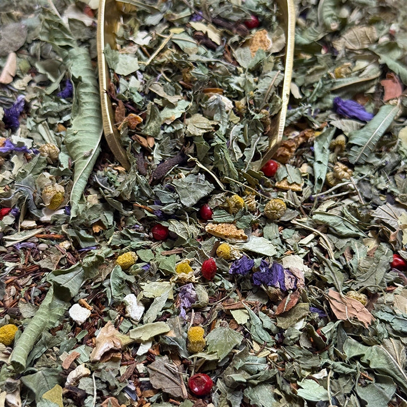 Herboristerie Moderne Infusion plaisir Réconfort -Cassis feuilles, Verveine odorante citronnée, Oranger feuilles, Rooïbos Cederberg, fleurs de Camomille Matricaire,  fleurs de Mauve, épices (Badiane, Anis vert, Girofle, baies roses), et fruits Orange Douce