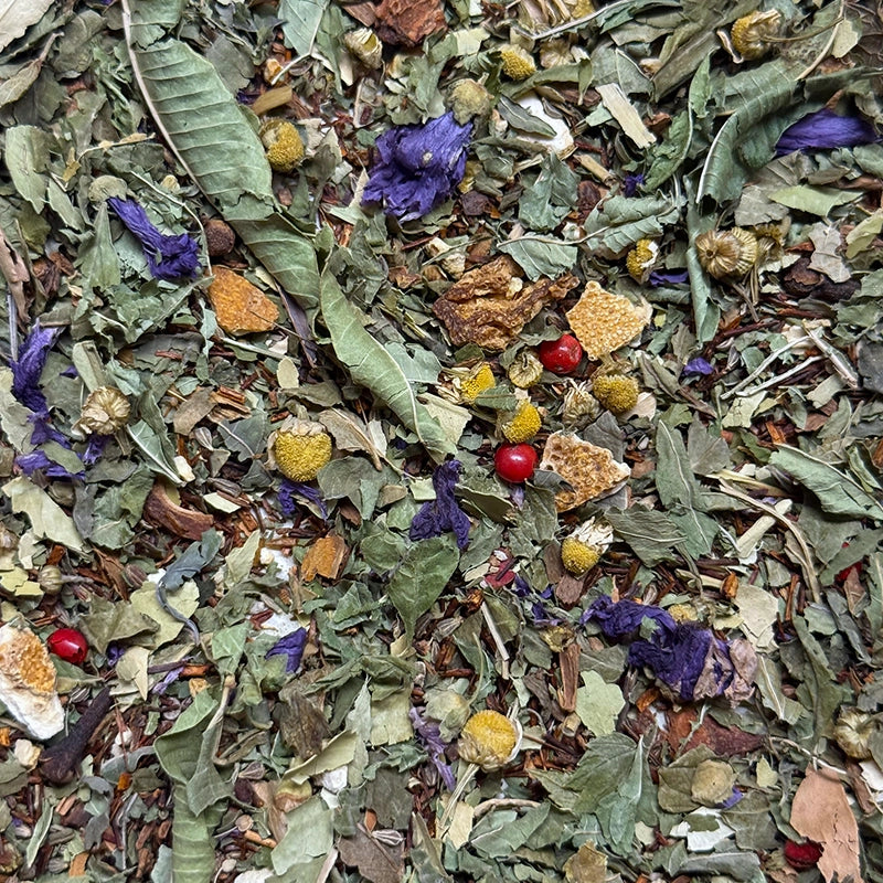 Herboristerie Moderne Infusion plaisir Réconfort -Cassis feuilles, Verveine odorante citronnée, Oranger feuilles, Rooïbos Cederberg, fleurs de Camomille Matricaire,  fleurs de Mauve, épices (Badiane, Anis vert, Girofle, baies roses), et fruits Orange Douce