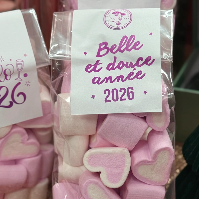 Sachet Cœurs de Guimauve