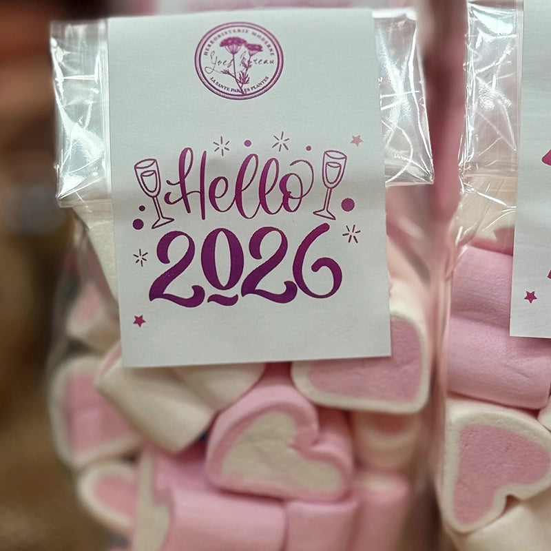 Herboristerie-moderne-coeurs-guimauve-rose-hello-2026_8f9d6091-0b05-44b7-9e52-186d9af4328c.webp