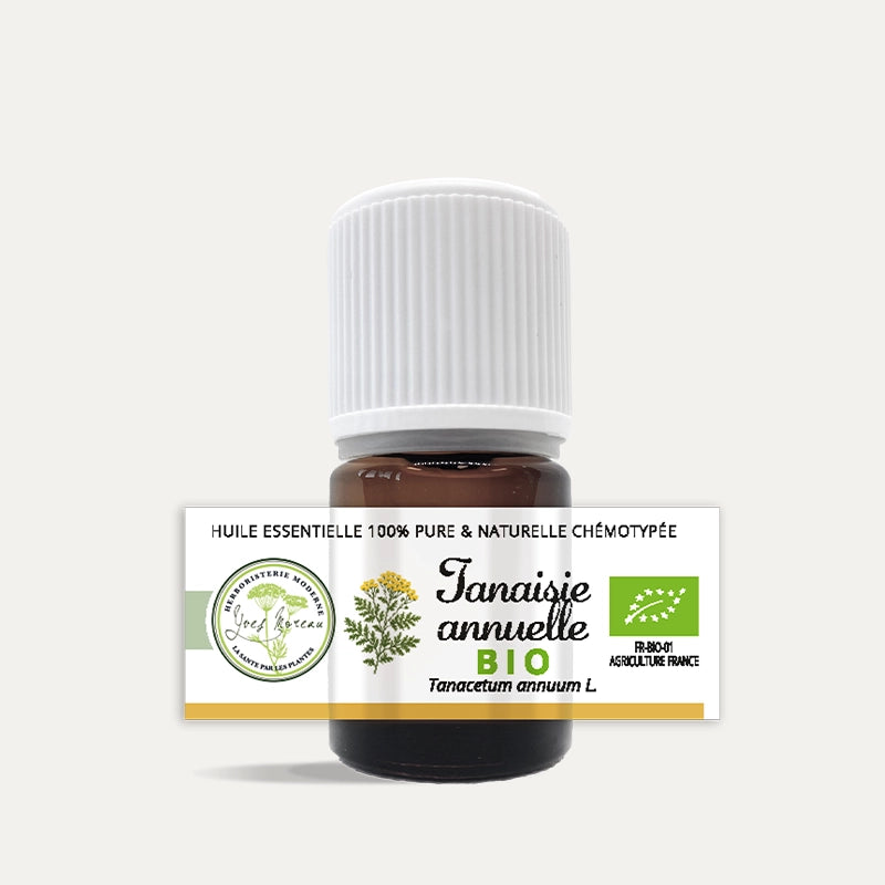 Herboristerie-moderne-huile-essentielle-tanaisie-annuelle.webp