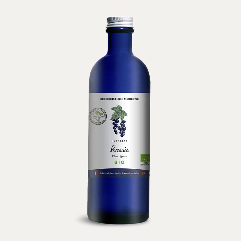 Herboristerie-moderne-hydrolat-cassis-bio.webp