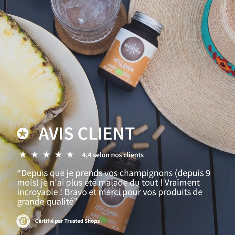 Hifas-Detox complément alimentaire aux champignons biologiques – Herboristerie Moderne