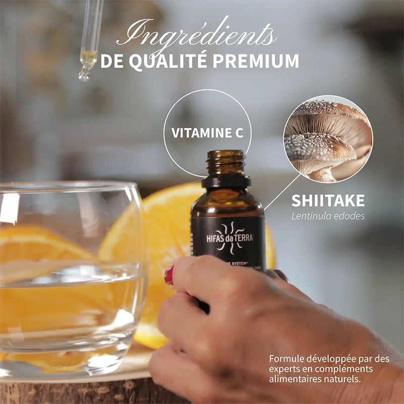 Hifas Lentinan (ß-glucane du Shiitake)