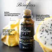 Hifas Lentinan (ß-glucane du Shiitake)