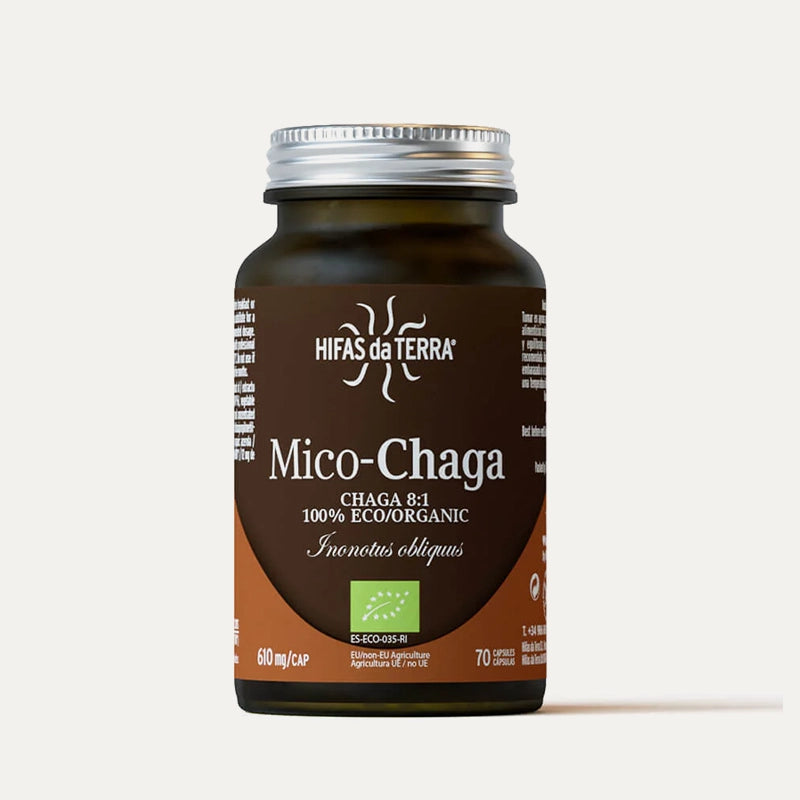 Hifas-da-terra-champignons-Mico-Chaga-1.webp