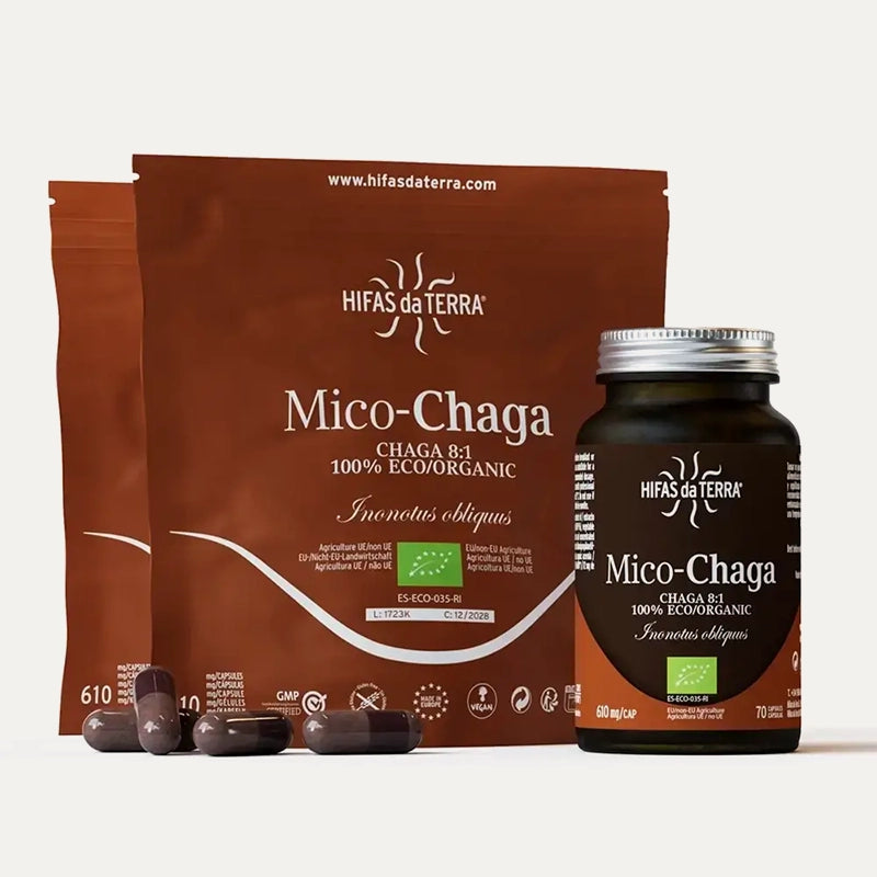 Hifas-da-terra-champignons-Mico-Chaga-3.webp