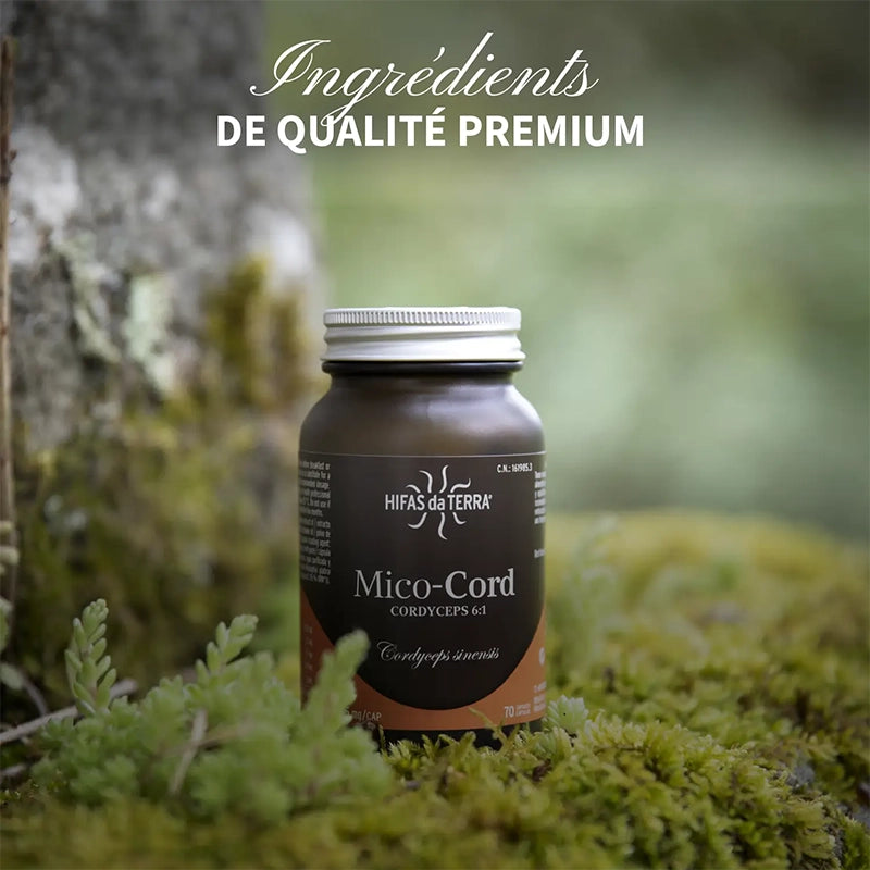 Mico-Cord - Cordyceps Champignon