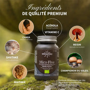 Mico-Five BIO (Reishi, Maitake, Shiitake, Champignon du soleil et Chaga)