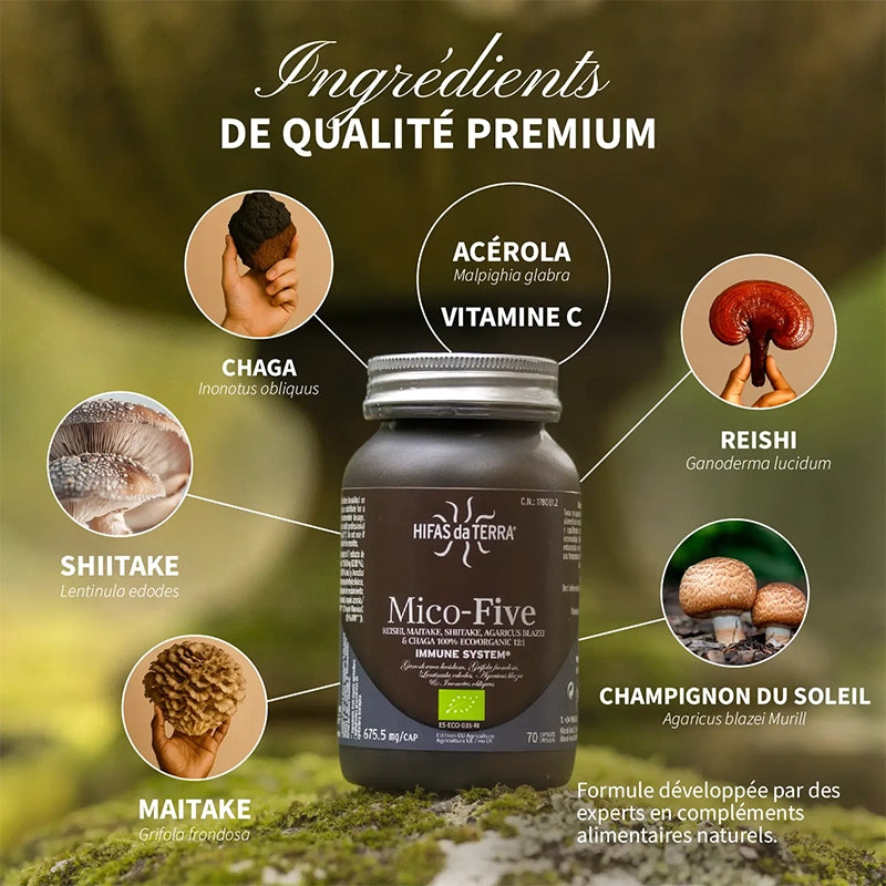 Mico-Five BIO (Reishi, Maitake, Shiitake, Champignon du soleil et Chaga)