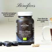 Mico-Five BIO (Reishi, Maitake, Shiitake, Champignon du soleil et Chaga)