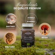Mico-Mix BIO - Champignons
