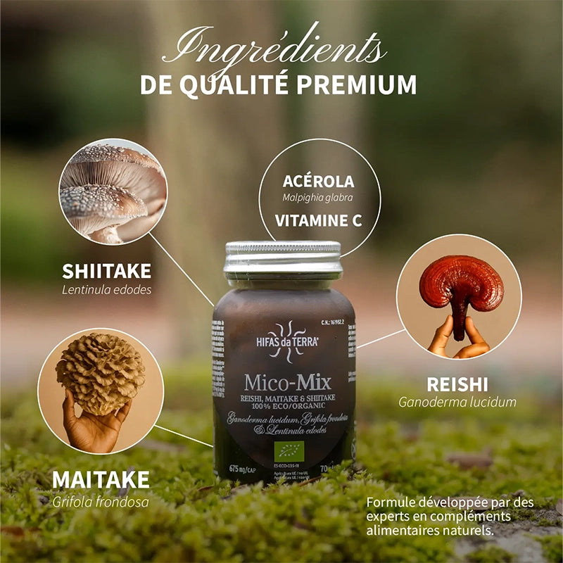 Mico-Mix BIO - Champignons