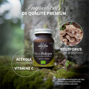 Mico-Polypor - Extrait de Polyporus