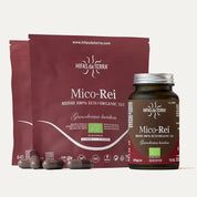 Mico-Rei BIO - Reishi Ganoderma lucidum Champignon - Haute concentration