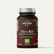 Mico-Rei BIO - Reishi Ganoderma lucidum Champignon - Haute concentration