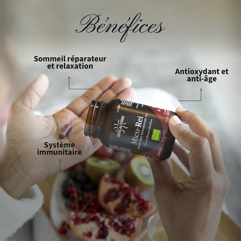 Mico-Rei BIO - Reishi Ganoderma lucidum Champignon - Haute concentration