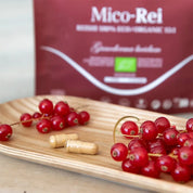 Mico-Rei BIO - Reishi Ganoderma lucidum Champignon - Haute concentration