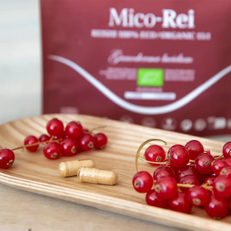 Mico-Rei BIO - Reishi Ganoderma lucidum Champignon - Haute concentration