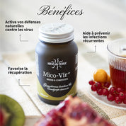 Mico-Vir+ - Complexe de Champignons en haute concentration Reishi & Cordyceps