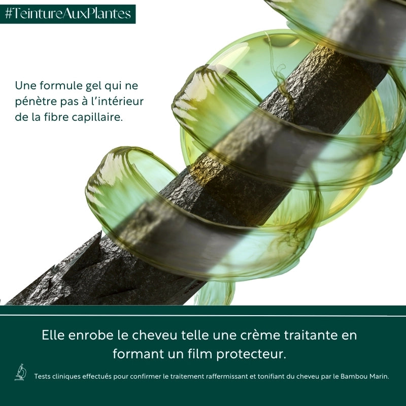 Martine Mahé Le Reflet La teinture aux plantes bienfaits bambou