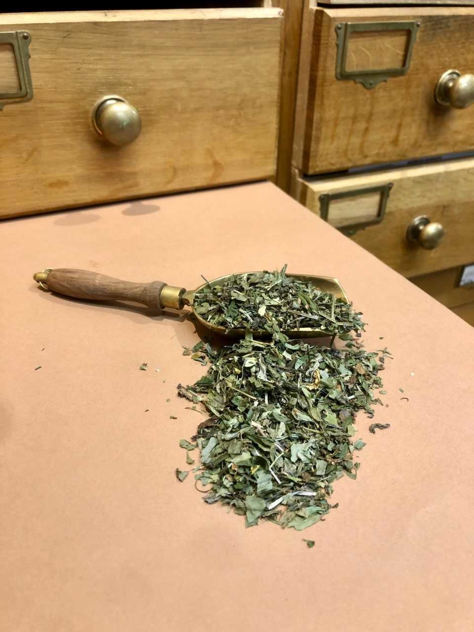 Aspérule odorante parties aériennes BIO (Tisane en vrac)