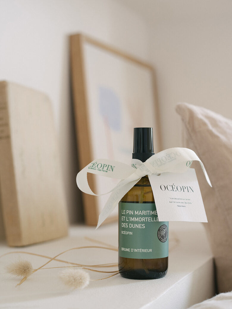 La Brume d'intérieur - Pin maritime et Immortelle des dunes