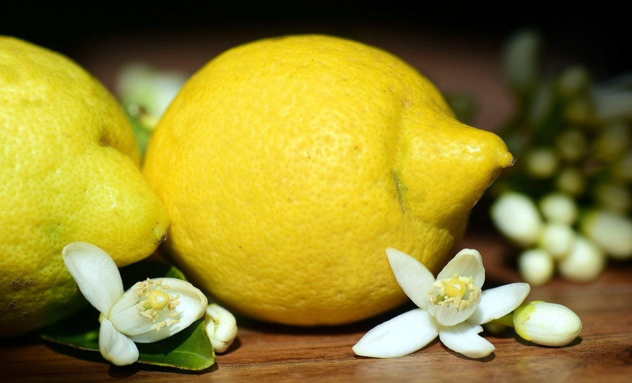 citron-fruit-fleur-citrus-limon_0448c2df-a83b-4f02-8a9e-8c940508ee84.jpg