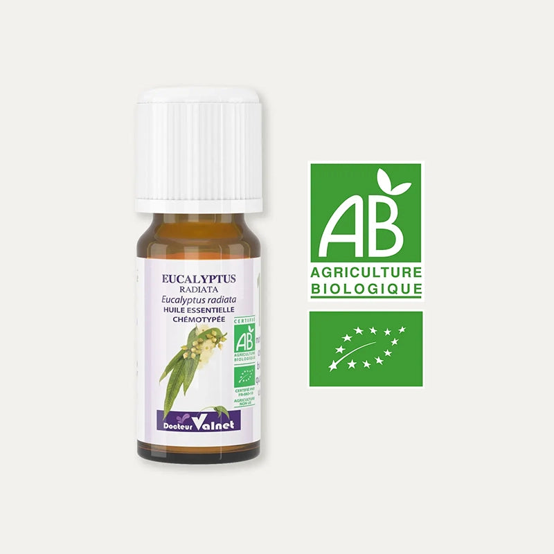 docteur-valnet-huile-essentielle-eucalyptus-radiata-1.webp
