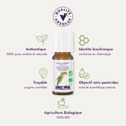 Huile essentielle Eucalyptus Radiata BIO