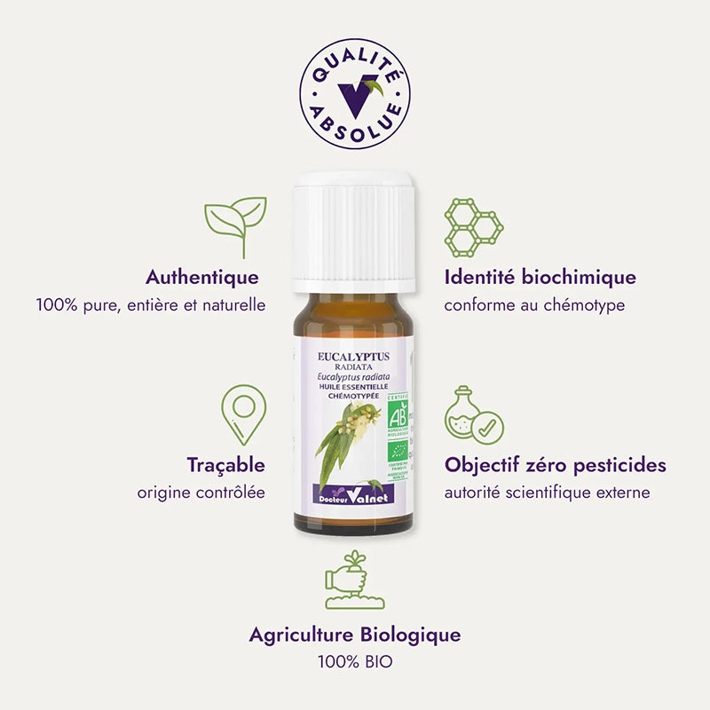 Huile essentielle Eucalyptus Radiata BIO