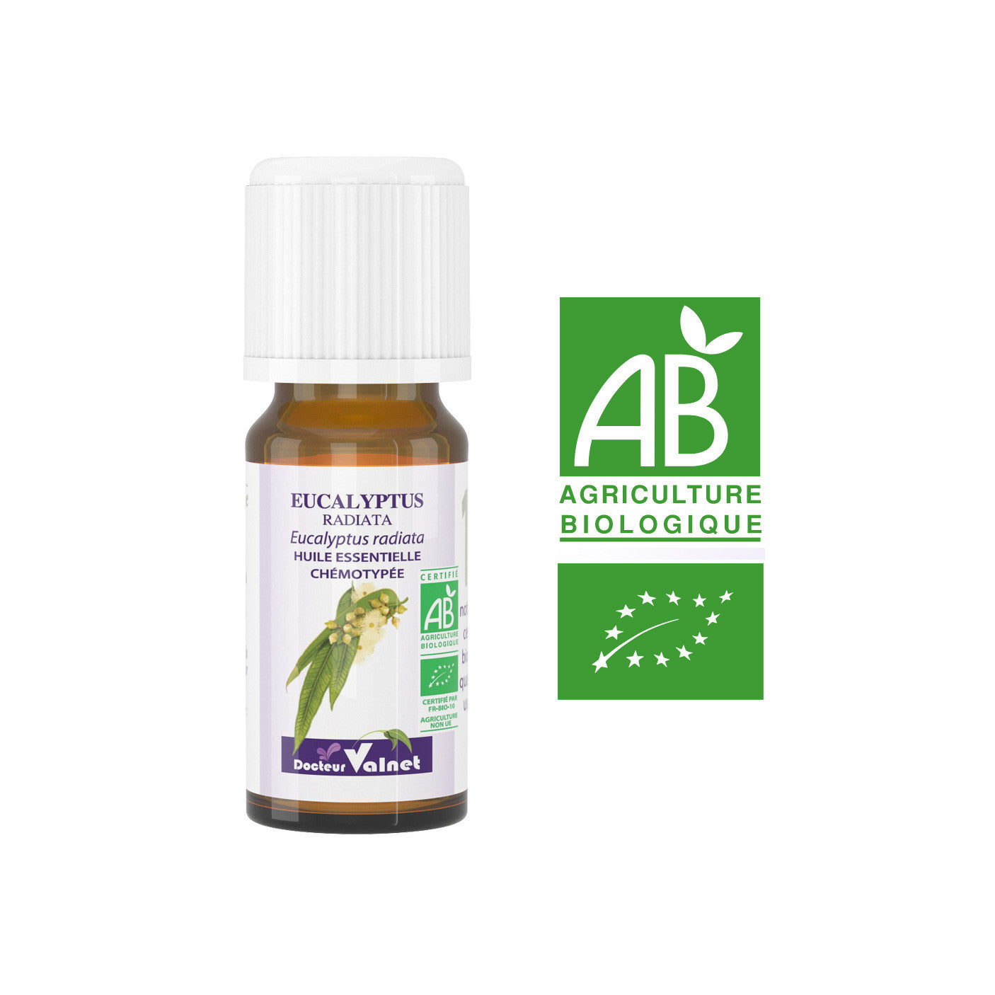 Huile essentielle EUCALYPTUS RADIATA BIO Dr Valnet