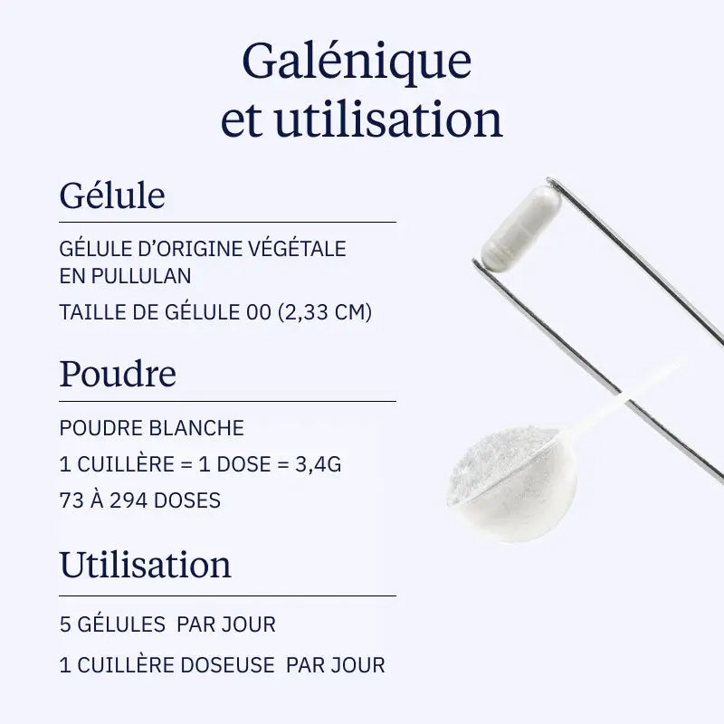 Créatine monohydrate Creapure gélules dynveo