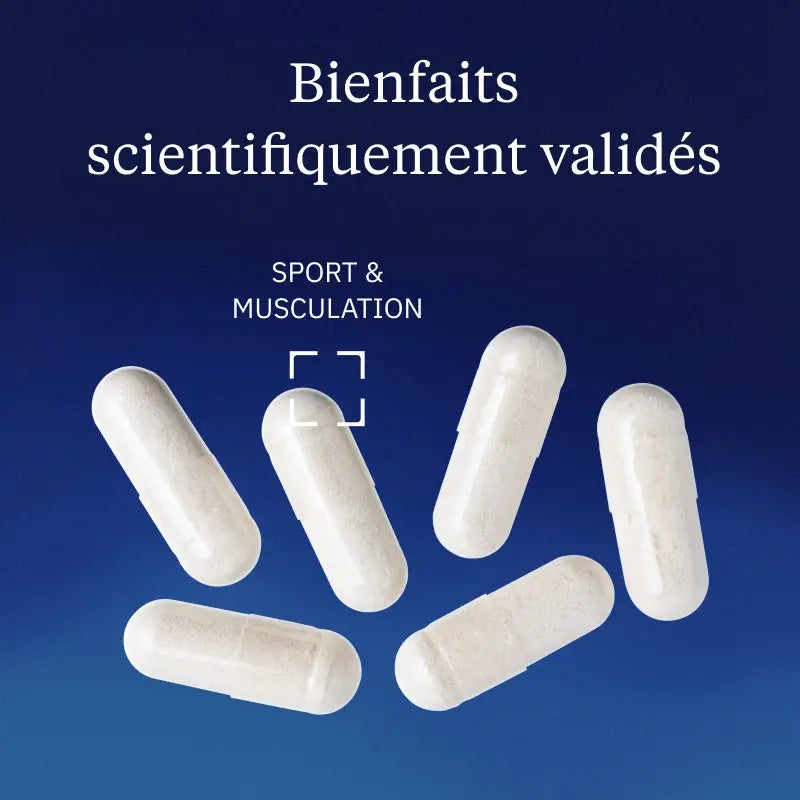 Créatine monohydrate Creapure gélules dynveo