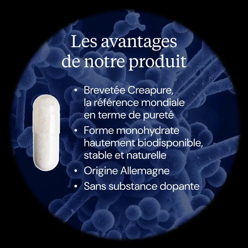 Créatine monohydrate Creapure gélules dynveo