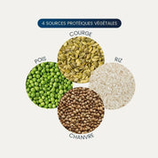 Dynveo protéines végétales poudre BIO