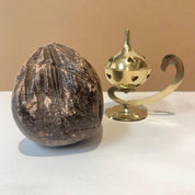 Encens pur Sang du Dragon (Arbre Dragonnier - Dragon's blood résine) - 100% naturelle