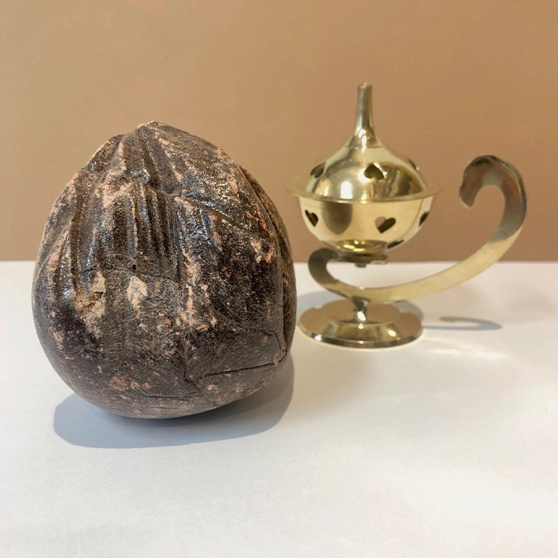 Encens pur Sang du Dragon (Arbre Dragonnier - Dragon's blood résine) - 100% naturelle