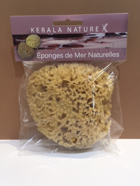 Éponge de mer naturelle