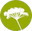 Herboristerie Moderne l Plantes en vrac BIO & bien-être depuis 1905 logo