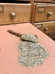 Graines de Fenouil BIO de qualité herboristerie