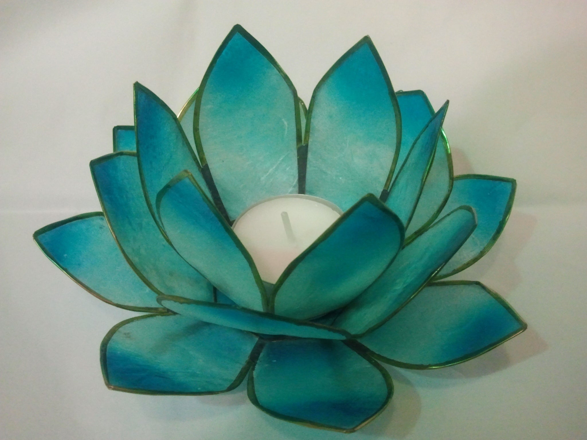 fleur-de-lotus-bleue-turquoise.jpg